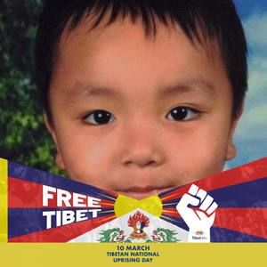 Meet your Posher, Dolma